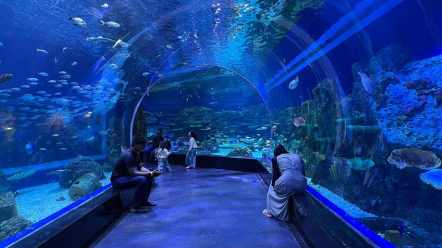 BXSea Oceanarium bekerjama dengan Finnet hadirkan solusi pembayaran digital. Foto: Habib Allbi Ferdian/kumparan