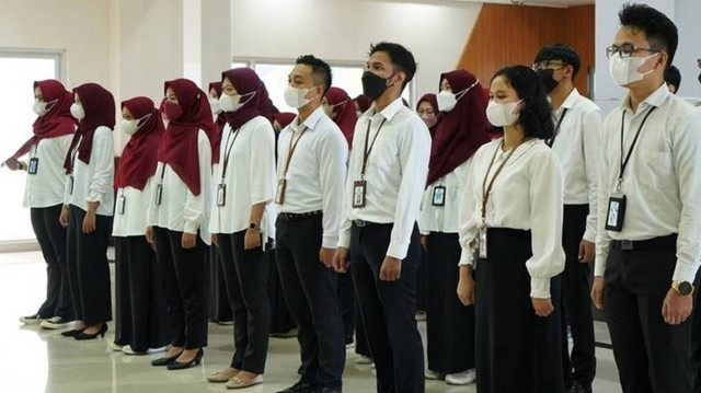 Ilustrasi tahapan tes CPNS. Foto: Dok. djpb.kemenkeu.go.id