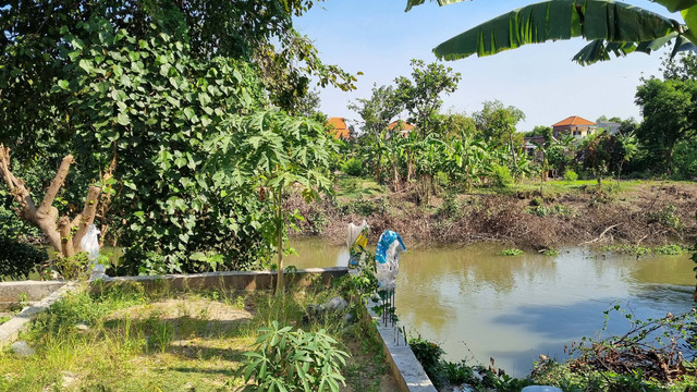 Lokasi balita diserang monyet liar. Foto: Farusma Okta Verdian/kumparan