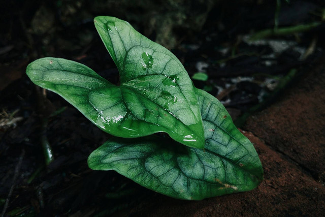 Ilustrasi gelombang cinta. Sumber foto: Unsplash