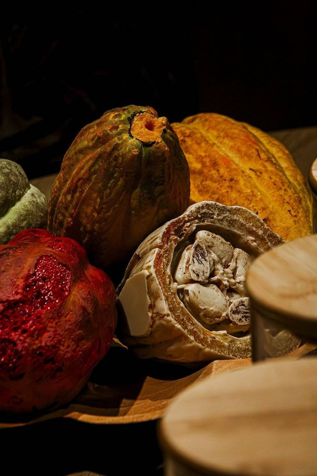 Buah kakao yang akan di proses dalam tahapan pascapanen (Sumber: https://pixabay.com/)