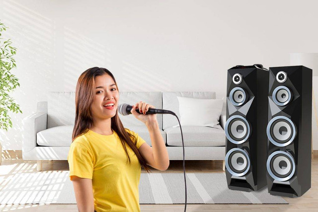 Ilustrasi audio speaker subwoofer. Foto: Polytron     