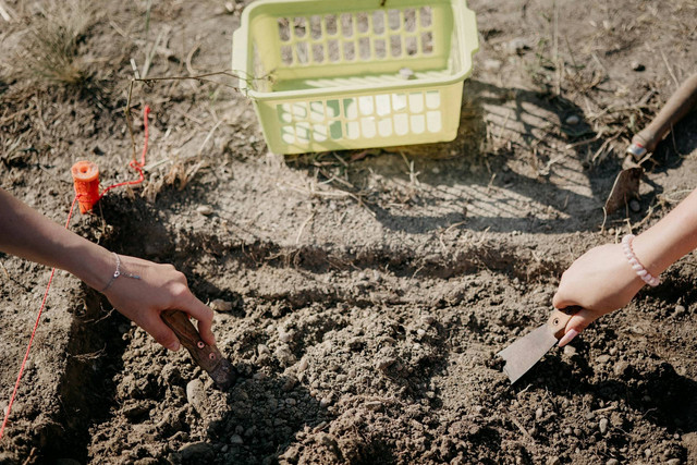 Ilustrasi media tanam. Sumber foto: Unsplash