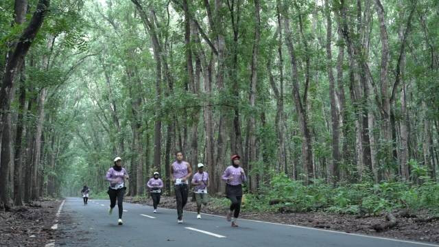 Pelari sedang menjelajahi jalur lari Alas Purwo Jungle Run