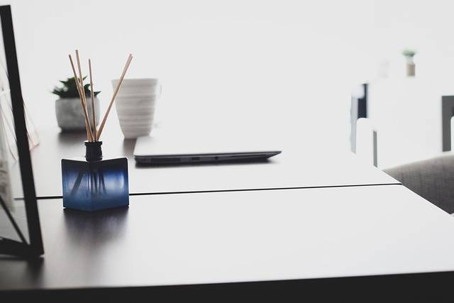 Ilustrasi reed diffuser lokal terbaik. Foto: Pixabay.