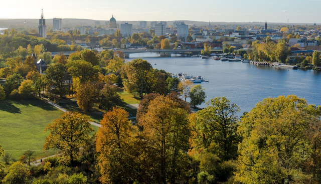 sister city park. Foto hanya ilustrasi, bukan tempat sebenarnya.Sumber: Pexels