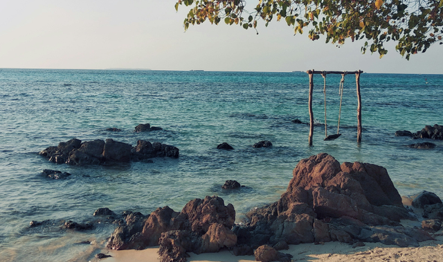 Open Trip Karimunjawa, foto hanya ilustrasi bukan temlat sebenarnya. Sumber: Unsplash/Yohanes Dicky Yuniar