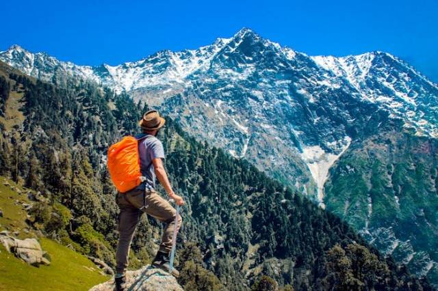 Ilustrasi arti mdpl, sumber foto: DreamLens Production by pexels.com