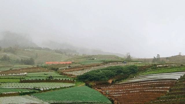 Desa Nampan Sukomakmur Magelang. Sumber Foto: Agustina Tyas/Unsplash