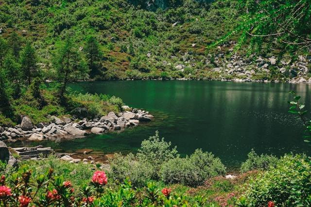 Pemandian Alam Sejuk Pas. Foto hanya ilustrasi bukan tempat sebenarnya. Sumber: Unsplash/Cristina Gottardi