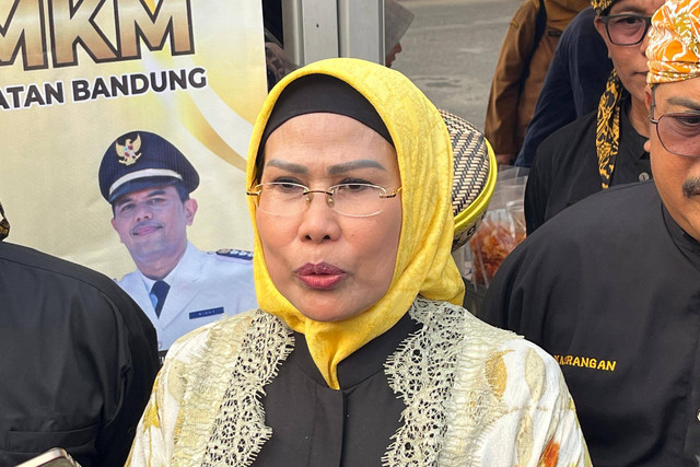 Bupati Serang yang juga Ketua DPD Partai Golkar Provinsi Banten, Ratu Tatu Chasanah, di Pendopo Pemkab Serang, Senin (12/8/2024). Foto: kumparan