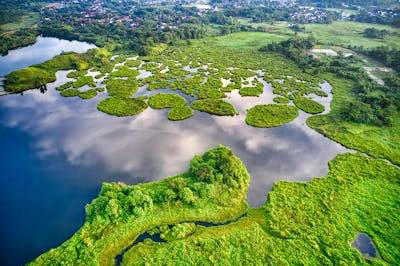 Ilustrasi mengapa geografi memerlukan ilmu ilmu penunjang dalam kajiannya. Foto: Pexels