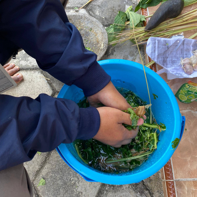 Pembuatan Pestisida Nabati Daun Pepaya