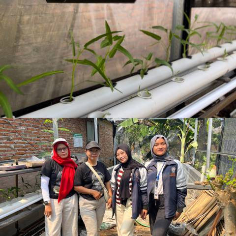 Penyerahan dari perwakilan TIM KKN TIM II kepada Ibu KWT Desa Lorog Kec. Tawangsari Kab. Sukoharjo