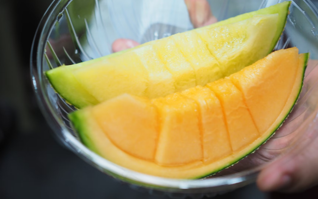 nama latin melon. Sumber: Unsplash/Ai Feng Hsiung