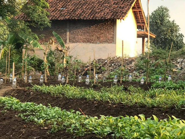 Suasana Perkebunan