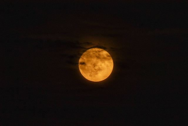 Supermoon, yang dikenal sebagai bulan biru dan "Bulan Sturgeon', terbit Boston, Massachusetts, Amerika Serikat, Senin (19/8/2024). Foto: Joseph Prezioso/AFP
