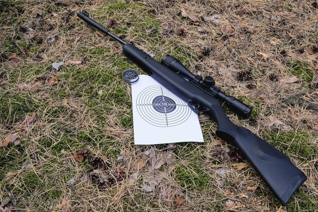 Ilustrasi senapan angin. Foto: Evgenius1985/Shutterstock