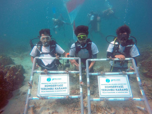 PT Pelindo Terminal Petikemas (SPTP) bersama PT IPC Terminal Petikemas (IPC TPK) melakukan penanaman bibit terumbu karang dalam memperingati HUT ke-79 RI di Pulau Pahawang, Kabupaten Pesawaran, Lampung. Foto: Dok. Pelindo