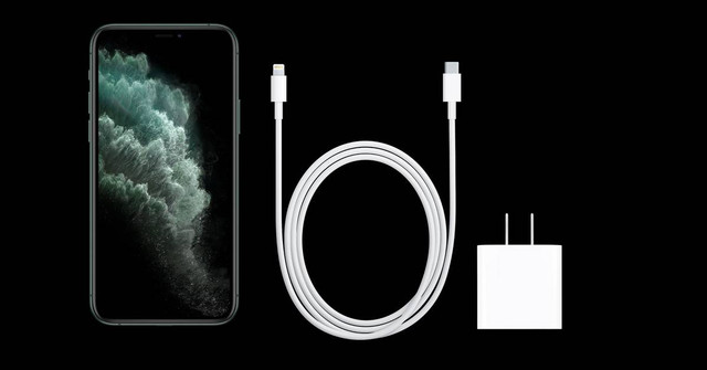 Ilustrasi Charger iPhone 11 Berapa Watt? Foto: The Verge