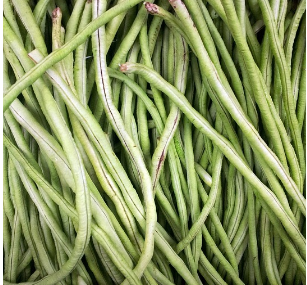 Foto Hanya Ilustrasi: Manfaat Micin Untuk Tanaman Kacang Panjang. Sumber: Pixabay.com