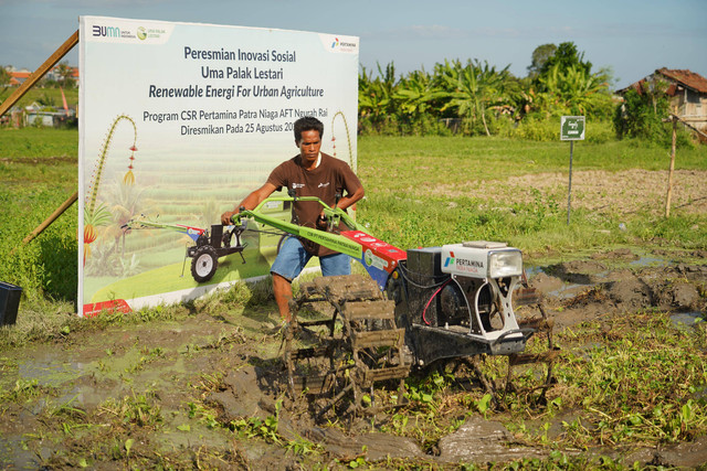 Penggunaan traktor listrik oleh petani di subak sembung, Denpasar, Bali - IST