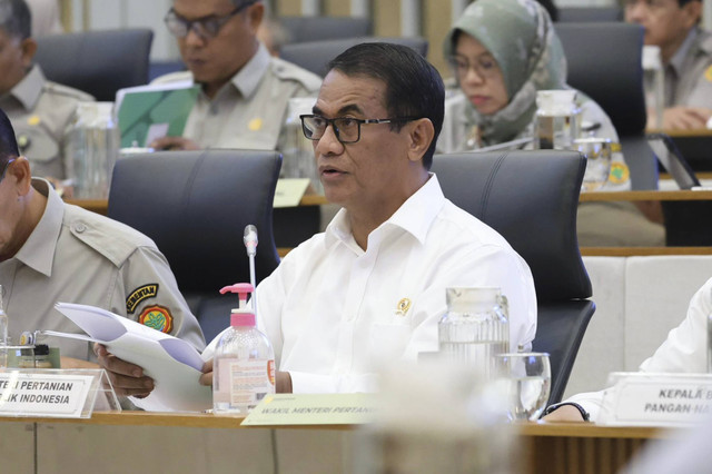Menteri Pertanian, Amran Sulaiman saat rapat kerja dengan Komisi IV DPR RI di Jakarta, Senin (26/8/2024). Foto: Dok. Humas Kementan