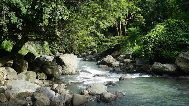 Tempat Healing di Nganjuk yang Sedang Hits. Foto Hanya Ilustrasi, bukan tempat sebenarnya. Sumber Foto: Unsplash.com/Madrosah Sunnah