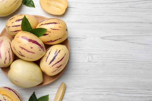 Ilustrasi Buah Pepino (Solanum muricatum) (sumber: shutterstock.com)