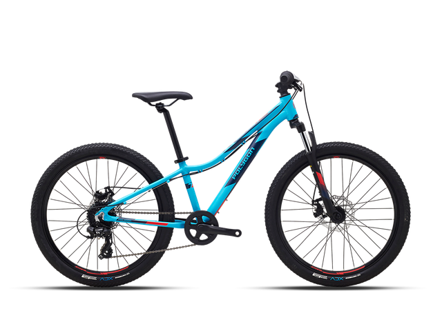 Ilustrasi sepeda Polygon 2 jutaan terbaik. Sumber: www.polygonbikes.com