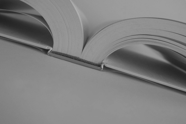 Ilustrasi Tokoh yang Mempopulerkan Istilah Sosiologi melalui Karya Principles of Sociology adalah. Sumber: Unsplash.com/Diane Alkier