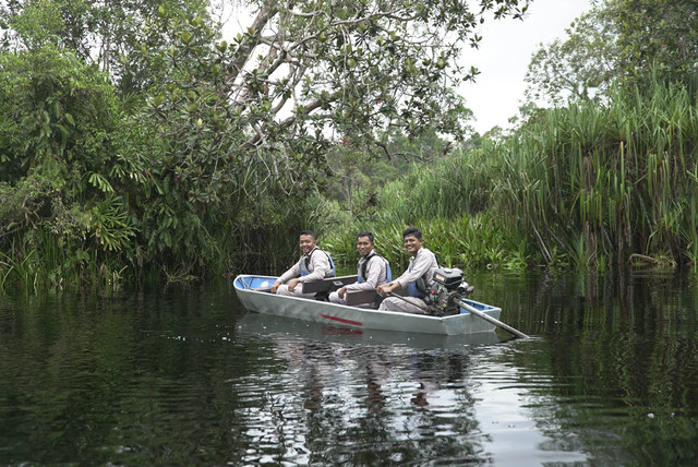 Para jagawana Restorasi Ekosistem Riau (RER) menaiki ketinting saat berpatroli di Sungai Serkap, Jumat (31/05/2024). Foto: Faiz Zulfikar/kumparan