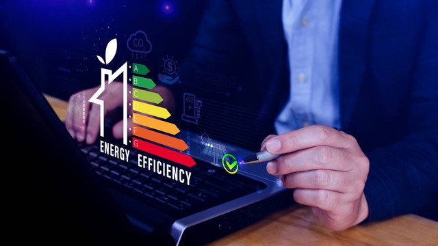 IEE Series 2024 Foto: Shutterstock
