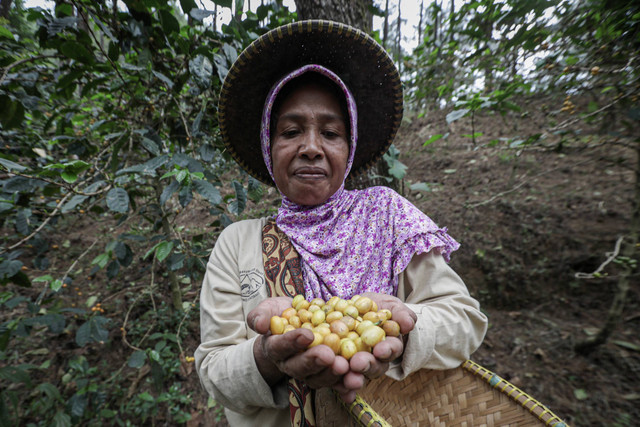 Qayta tugilgan jinsiy oyinlar onlayn