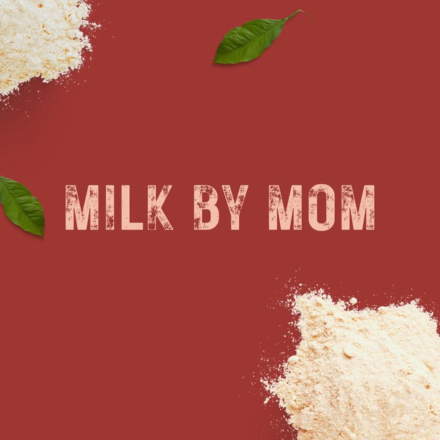 https://www.canva.com/
