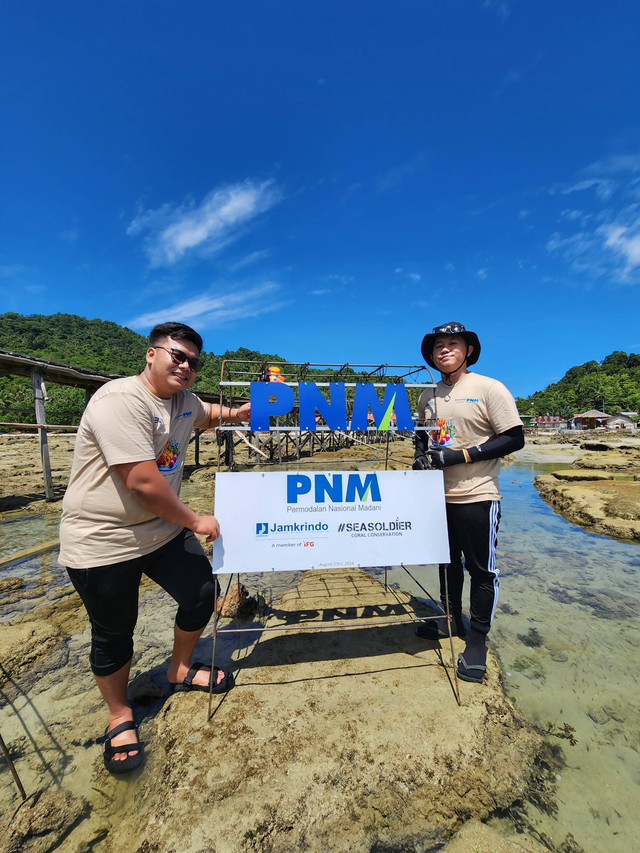 PNM Peduli bersama PT Jaminan Kredit Indonesia (JAMKRINDO) melakukan konservasi bibit terumbu karang di Pulau Lemukutan, Kalimantan Barat. Foto: Dok. PNM