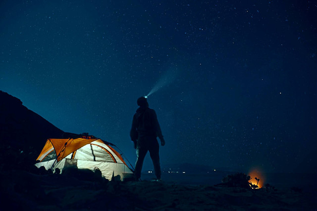 Pine Valley Cikole. Foto hanya ilustrasi bukan tempat sebenarnya. Sumber foto: Unsplash/Rahul Bhosale