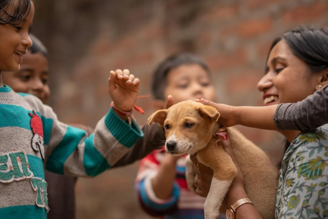 Ilustrasi contoh umpan balik pembelajaran sosial emosional. Sumber: Pexels/Pragyan Bezbaruah