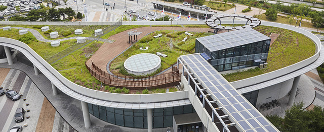 Rooftop Garden Sejong City. Foto: Dok. gbmo.go.kr