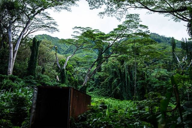 Tempat Wisata di Cikalong Wetan. Foto hanya ilustrasi. Bukan tempat yang sebenarnya. Sumber foto: Unsplash/Walter 