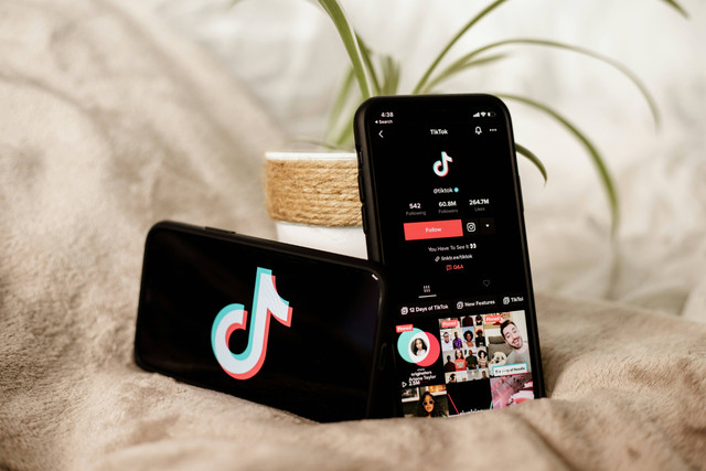 Kata-Kata Bio TikTok ,Foto:unsplash/Collabstr