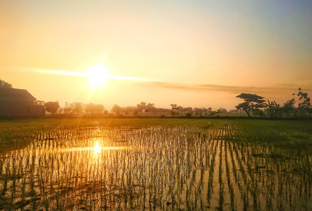 tempat wisata di madiun yang lagi hits. Foto hanyalah ilustrasi, bukan tempat yang sebenarnya. Sumber: Unsplash/Joey F
