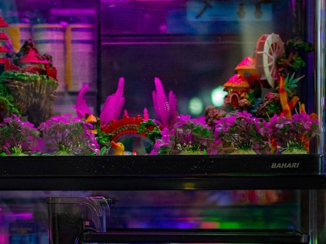 Tempat Wisata di Wonokromo (Foto hanya ilustrasi, bukan tempat sebenarnya) Sumber: unsplash/ Hobi industri