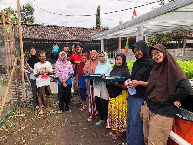 Semai Selada tahap #2 dan Penyemprotan Eco Enzyme ke selada