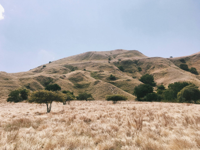 Ilustrasi Bentuk-Bentuk Batas Wilayah Daratan, Foto:Unsplash/Marcella Oscar