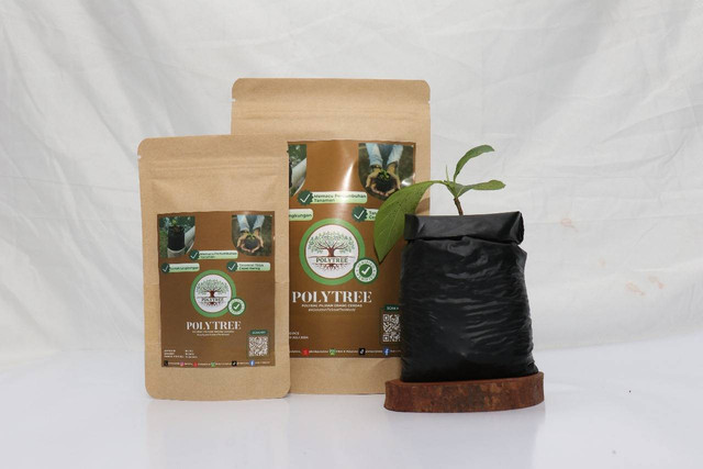 Inovasi Mahasiswa IPB: Polytree, Polybag Biodegradable yang Mencegah ...