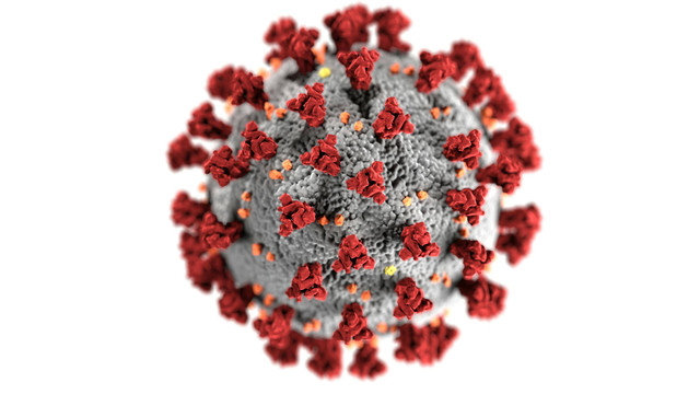 Ilustrasi jelaskan perbedaan antara tobacco mosaic virus dan ebola virus, Pexels/CDC