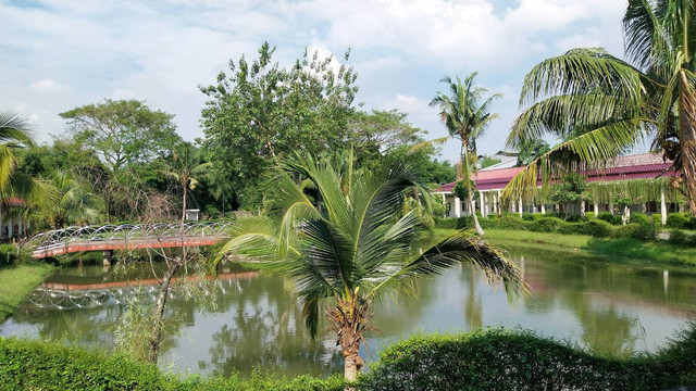 tiket masuk Taman Anggur Subang. Foto hanya ilustrasi, bukan tempat sebenarnya. Sumber: Unsplash/edwin petrus