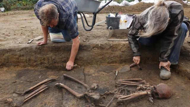 Kerangka Viking ditemukan di Denmark. Foto: Reuters/Tom Little