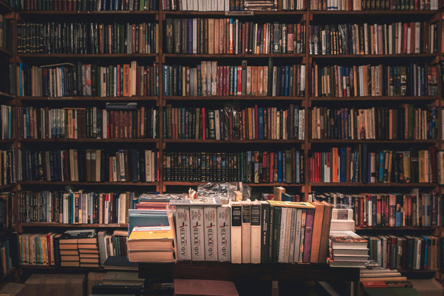 Ilustrasi Rekomendasi Manhwa Romantis Kerajaan. Foto: Pexels/Stanislav Kondratiev